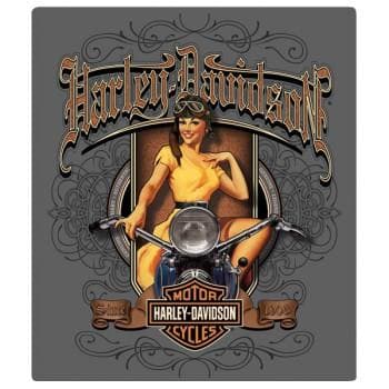 Harley Davidson® Old Scroll Babe Embossed Tin Sign 2010591