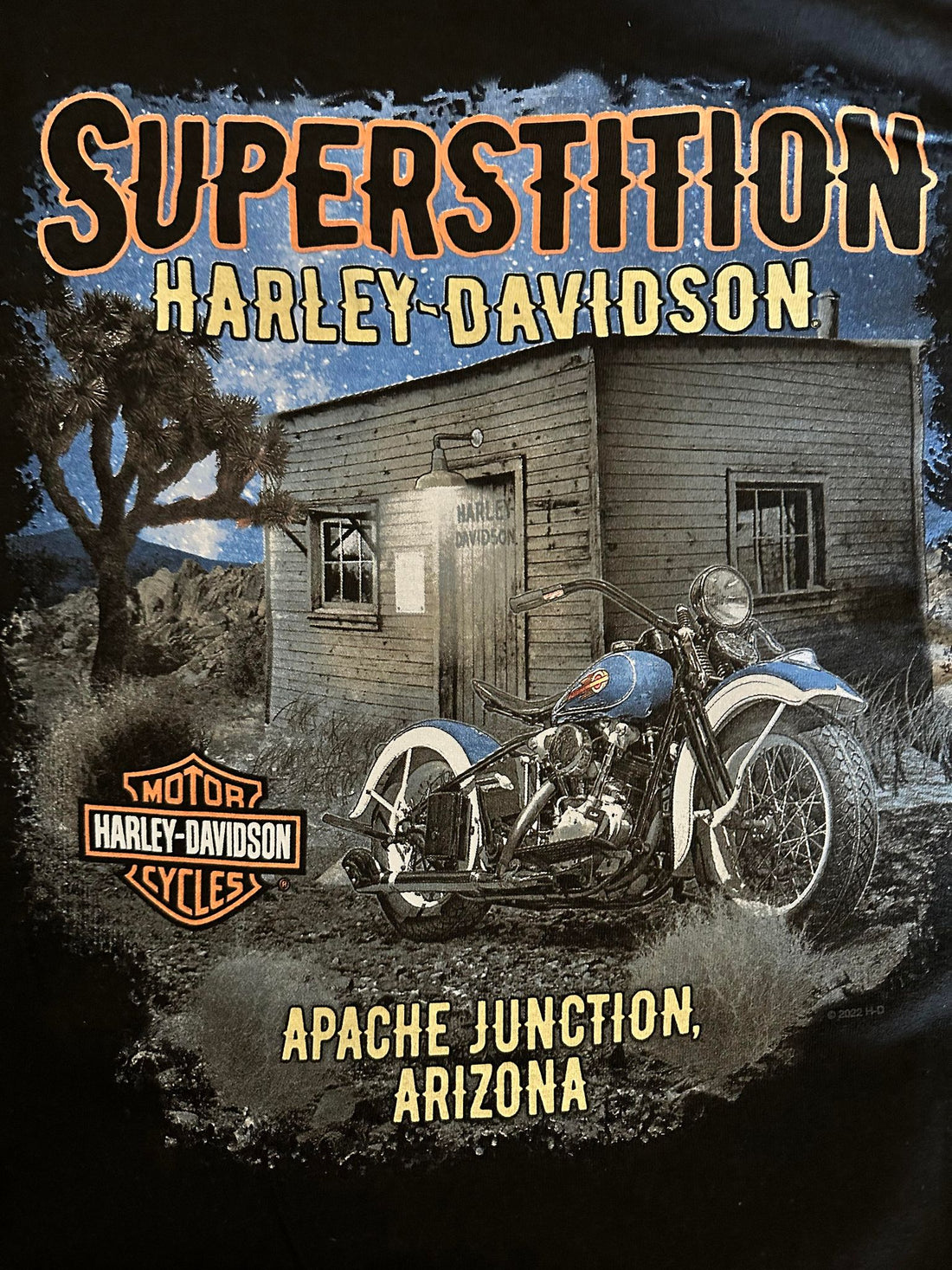 Harley-Davidson® Men's Elongated Bar & Shield Night Scene Custom Short Sleeve Tee, Black