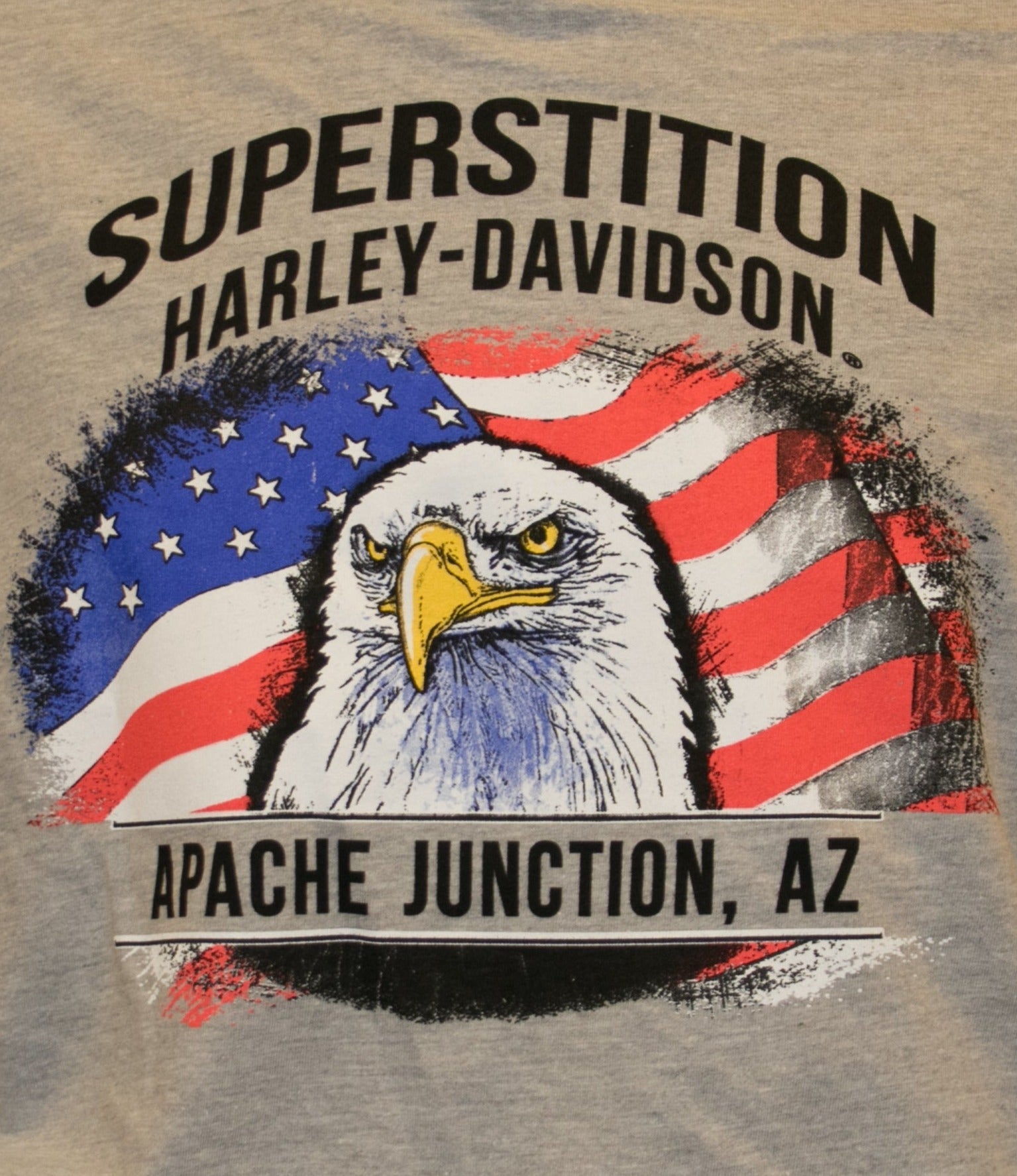 Harley-Davidson® Men's Tracking Text Patriotic Eagle  Long Sleeve Shirt