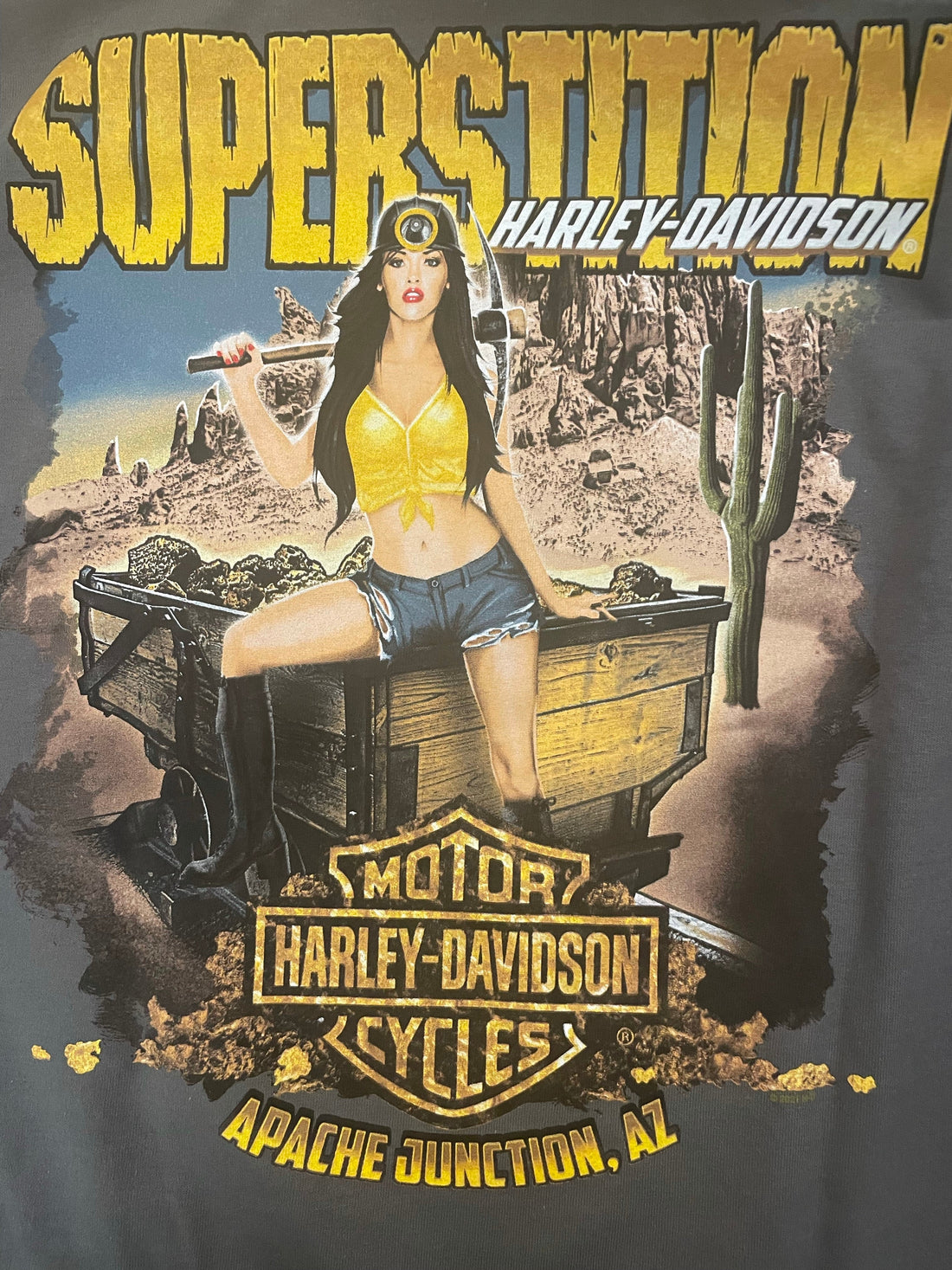 Harley-Davidson® Men's To The Limit Miner Girl Long Sleeve Tee